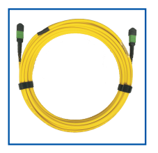 MPO Patch Cord